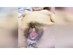 보지넷