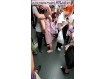보지넷