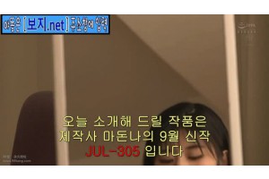 보지넷 야동 검색