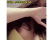 보지넷