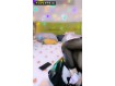 보지넷