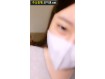 보지넷