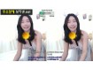 보지넷