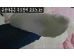보지넷