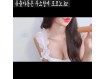 보지넷